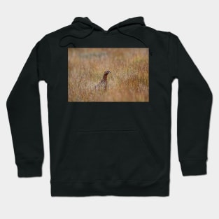 Red grouse Hoodie